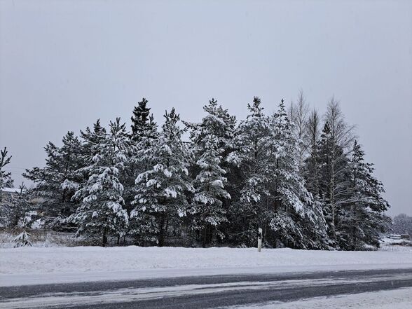 Lumine jaanuar 2023 (Foto T. Aavik)