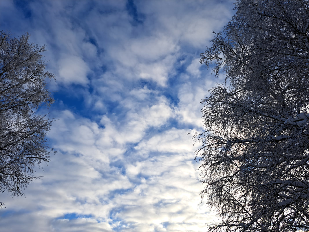 Pilved talve taevas (foto Tiiu Aavik)