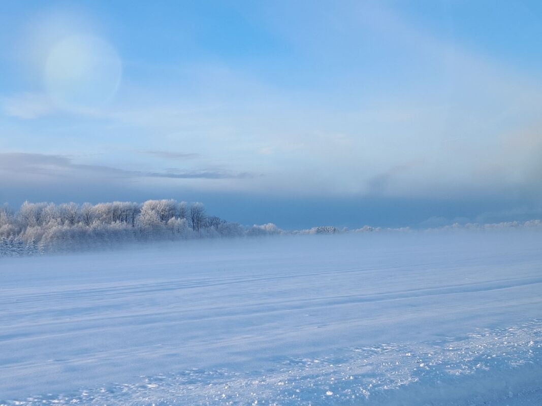 Ulmeline talv (foto T. Aavik)